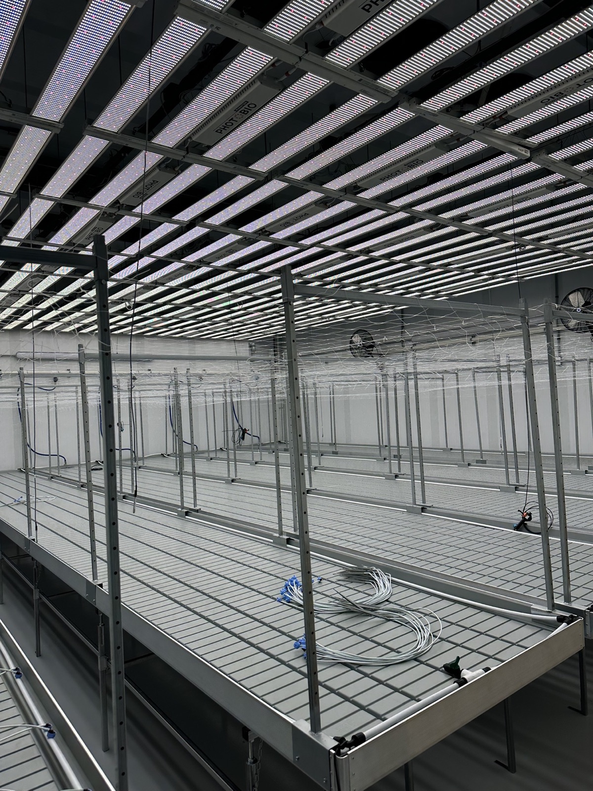 Controlled-environment production benches, LED fixtures, irrigation lines, fans, and trellis infrastructure before crop loading