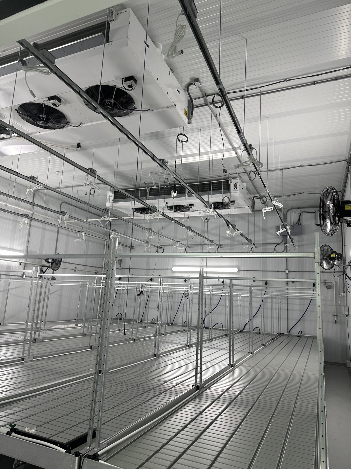 Controlled-environment facility room with benches, HVAC, airflow, irrigation lines, and production infrastructure